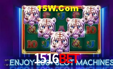 1516Bet São Paulo - Jogo Providers